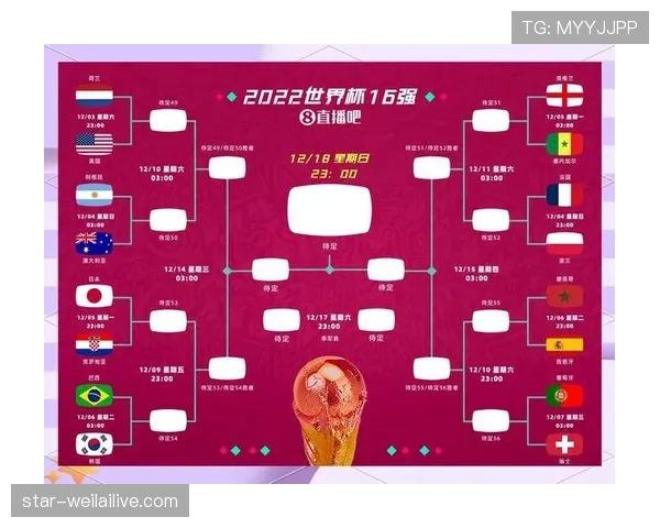 日本世界杯淘汰赛全攻略